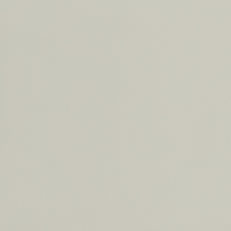  Nappa | Autoleder silber pearl metallic