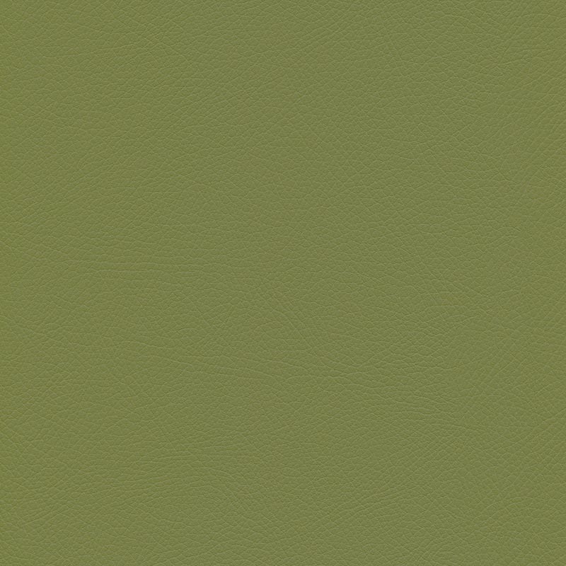  Skai® Toledo EN | bielastisch olive