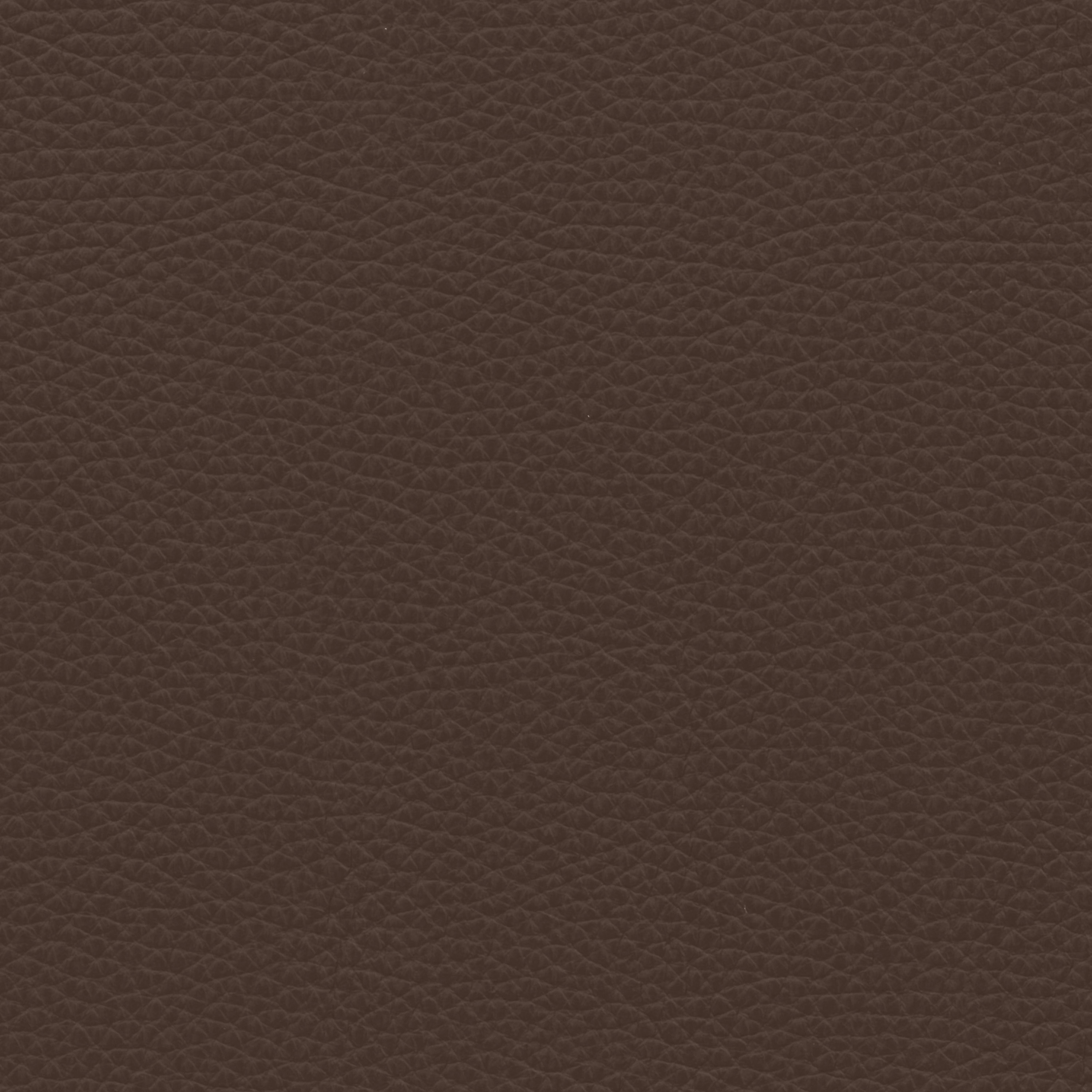  Paris | Rindleder lightbrown