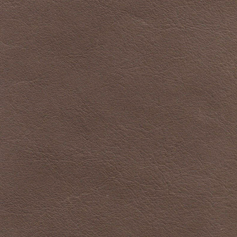  VEGGI | Bioleder kiwischale