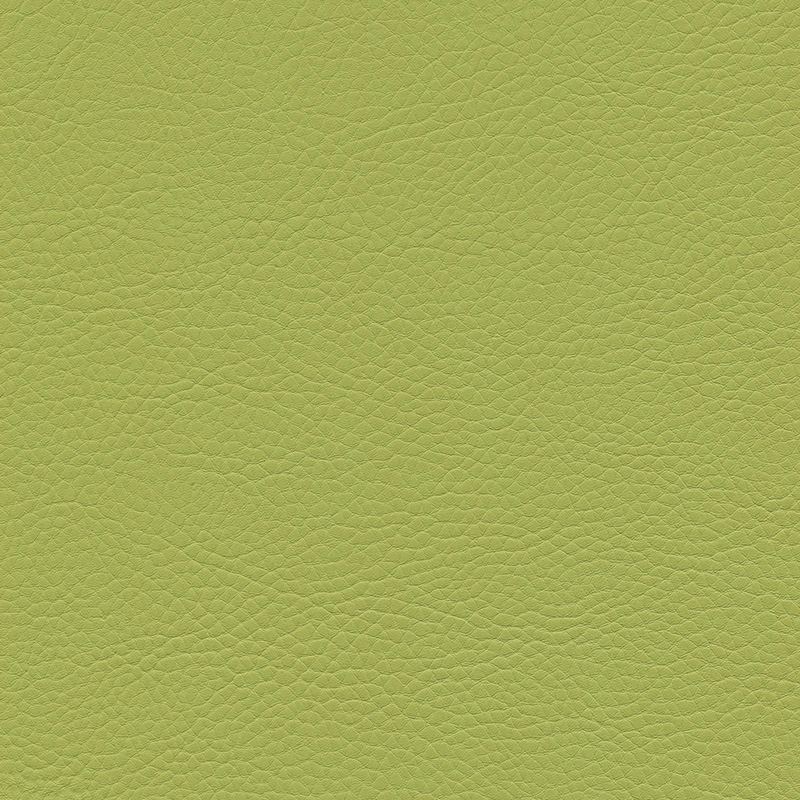  Skai® Sotega lightolive