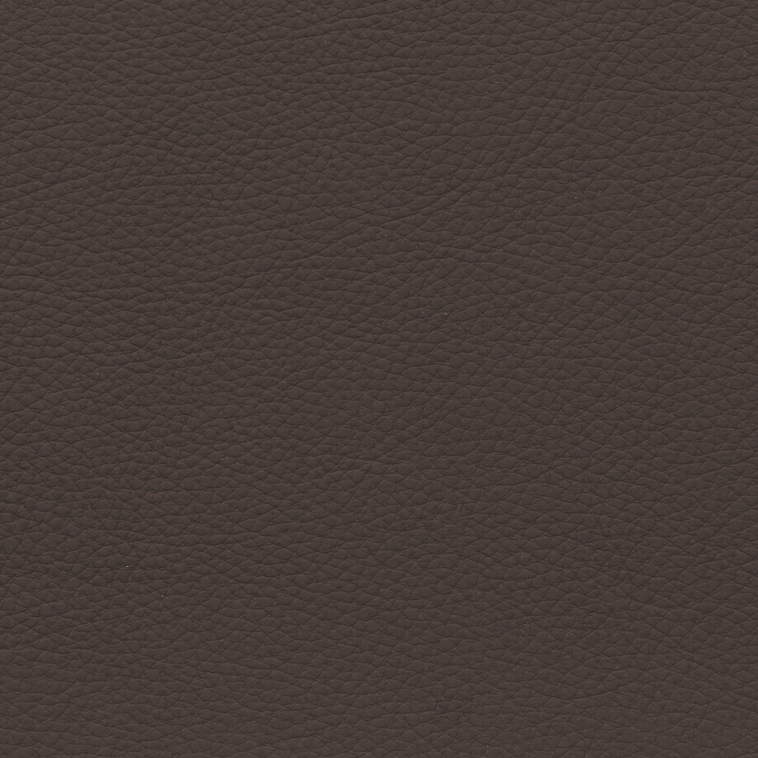  BMW Leder | Dakota tabak V2