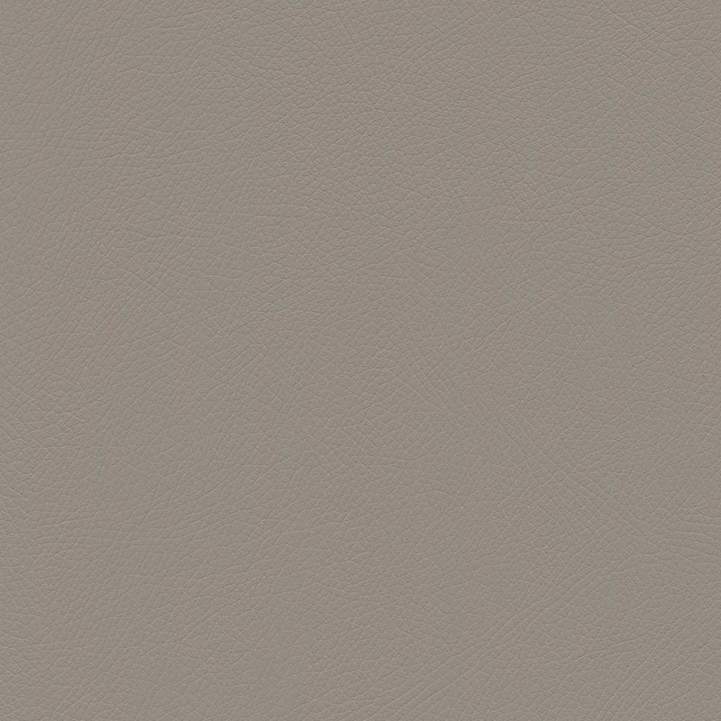  Skai® Toledo EN | bielastisch birch