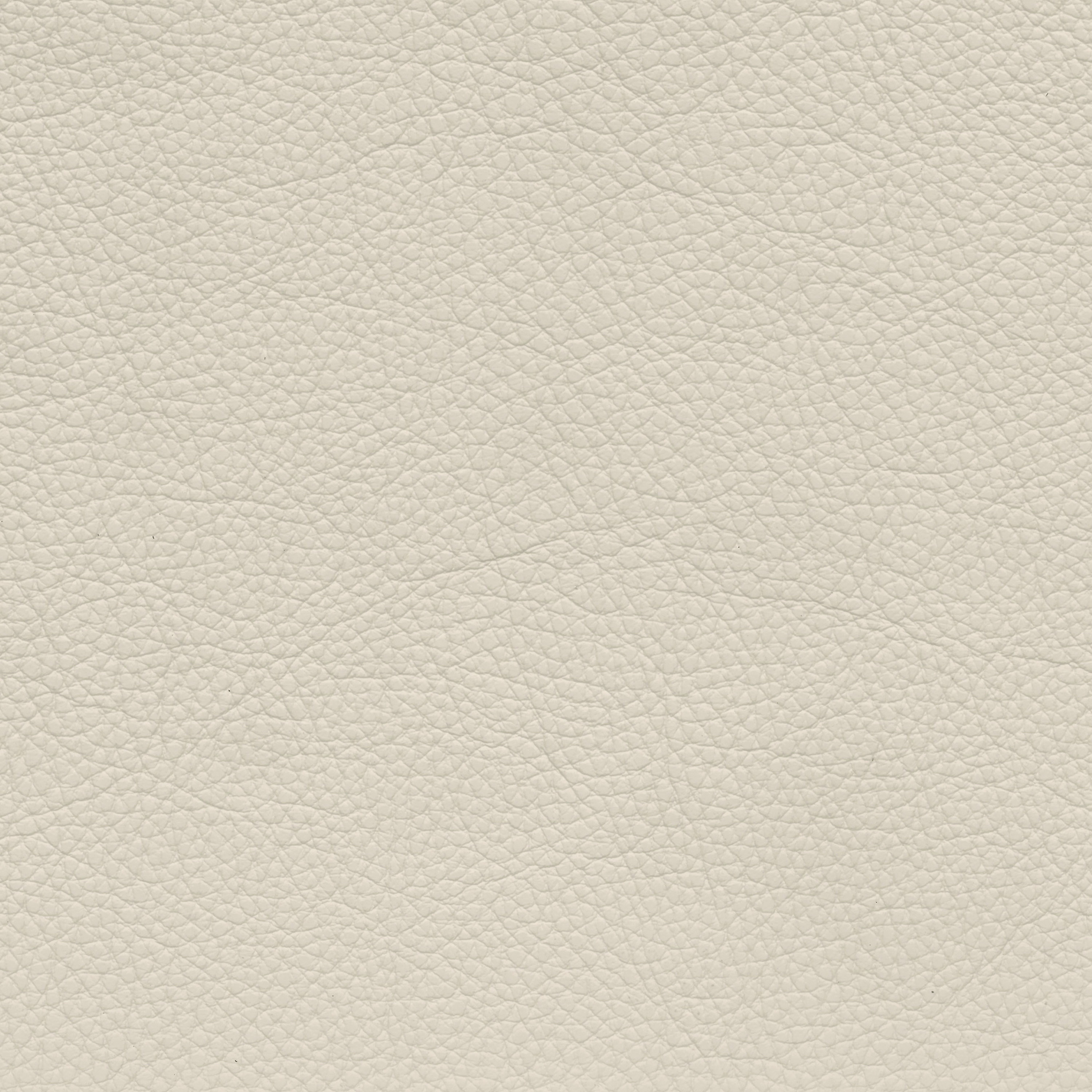  BMW Leder | Dakota elfenbeinweiß | ivory