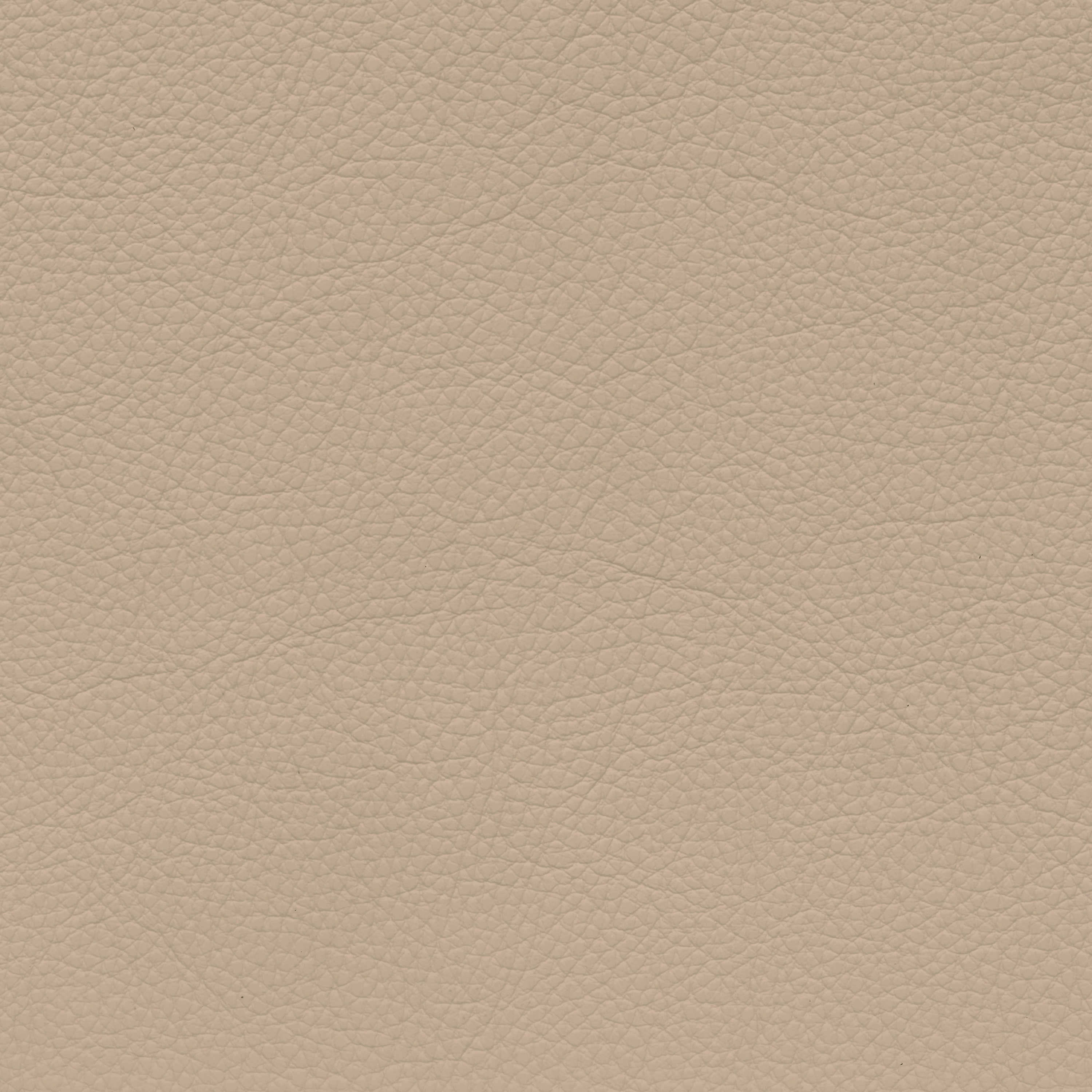  BMW Leder | Dakota elfenbeinweiß | ivory V2