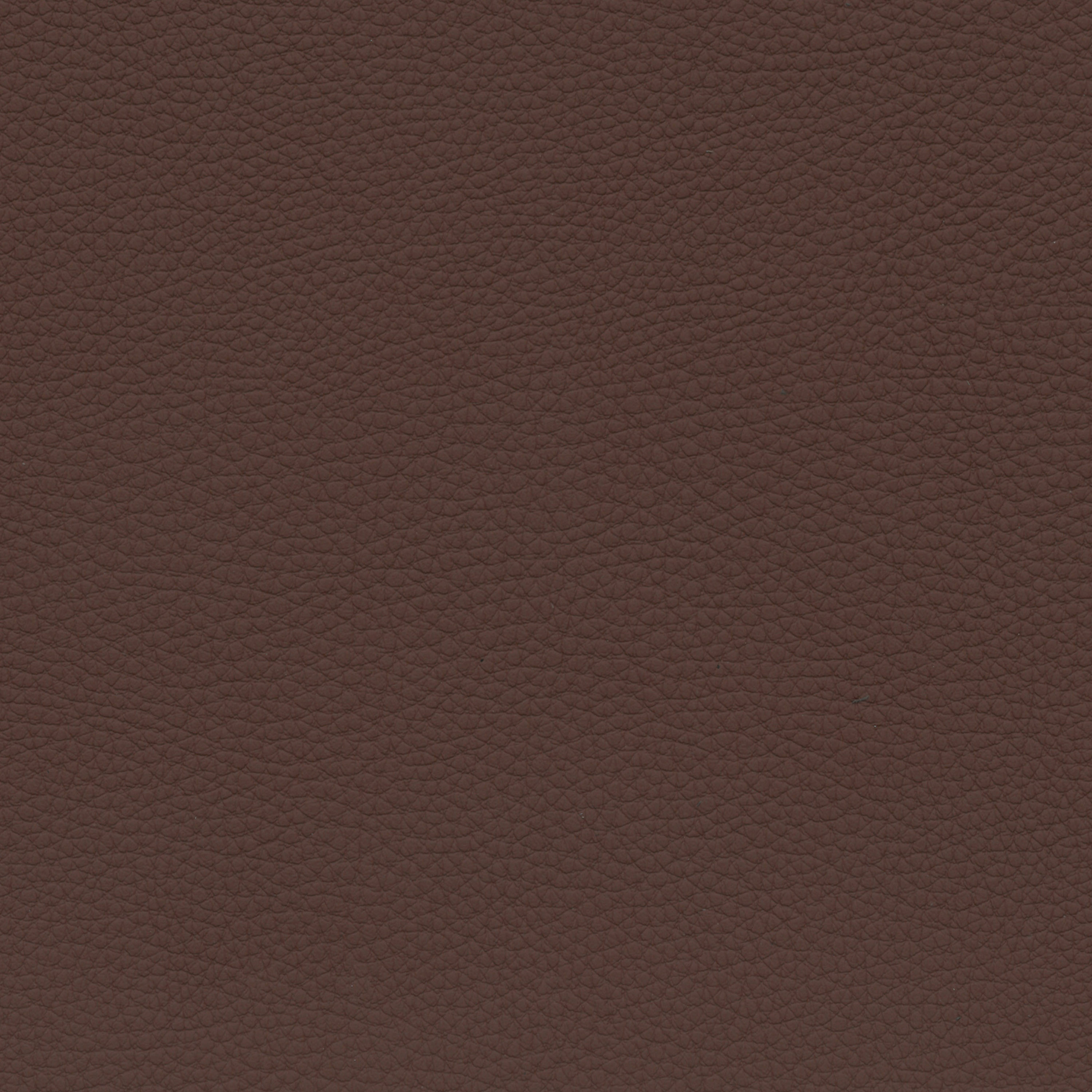  BMW Leder | Dakota zimtbraun V2