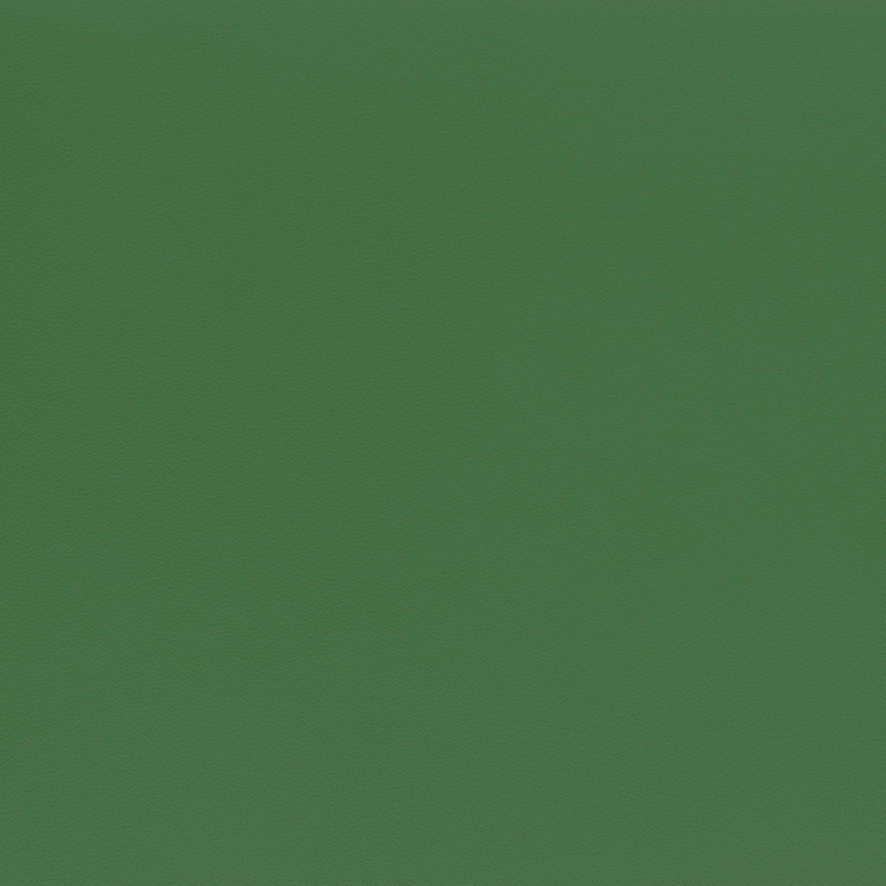  Porsche Nappa | Autoleder mambagrün