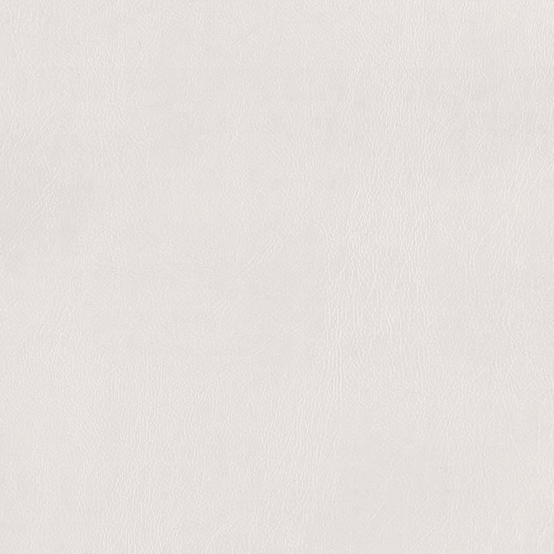  Praxis | Kunstleder dentist white