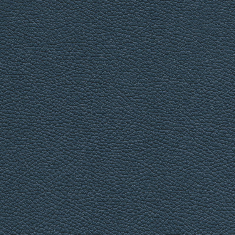  Frisco | Echtes Rindsleder dark blue