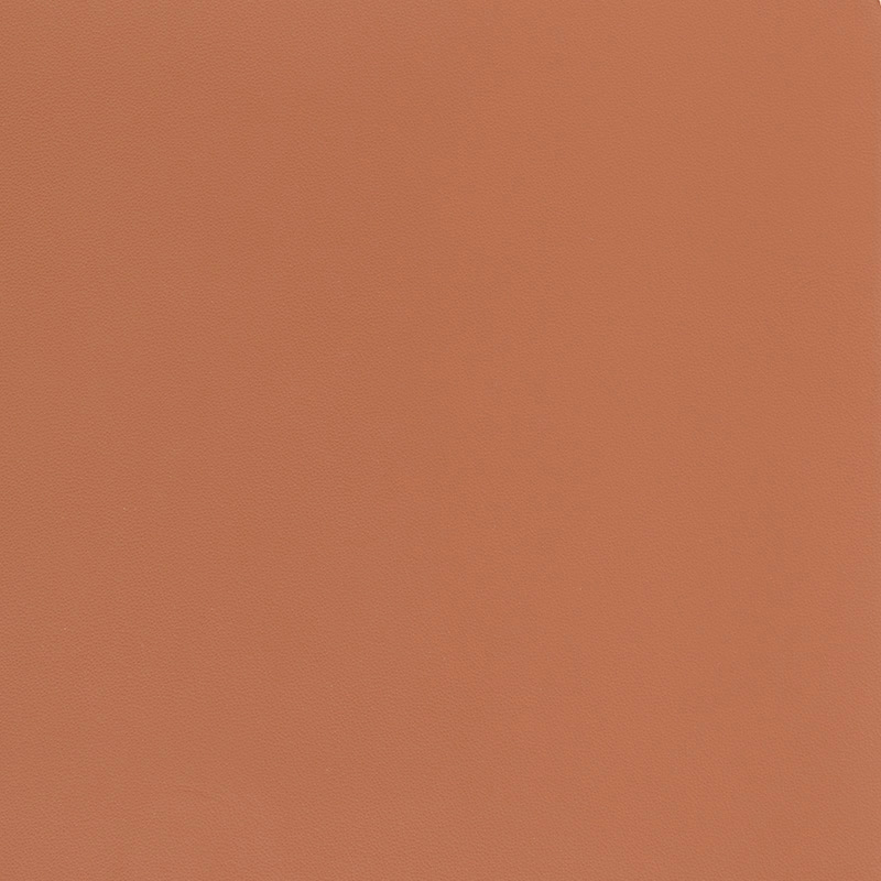  BMW Nappa | Autoleder zimt V2