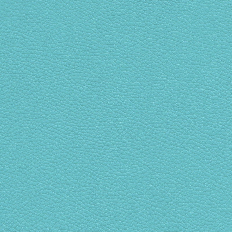  Frisco | Echtes Rindsleder light turquoise