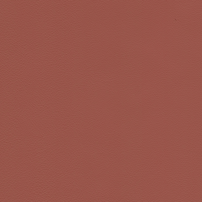  Continental | Rindleder rose