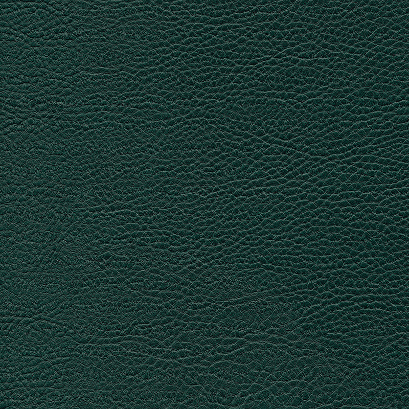  Skai® Sotega forest