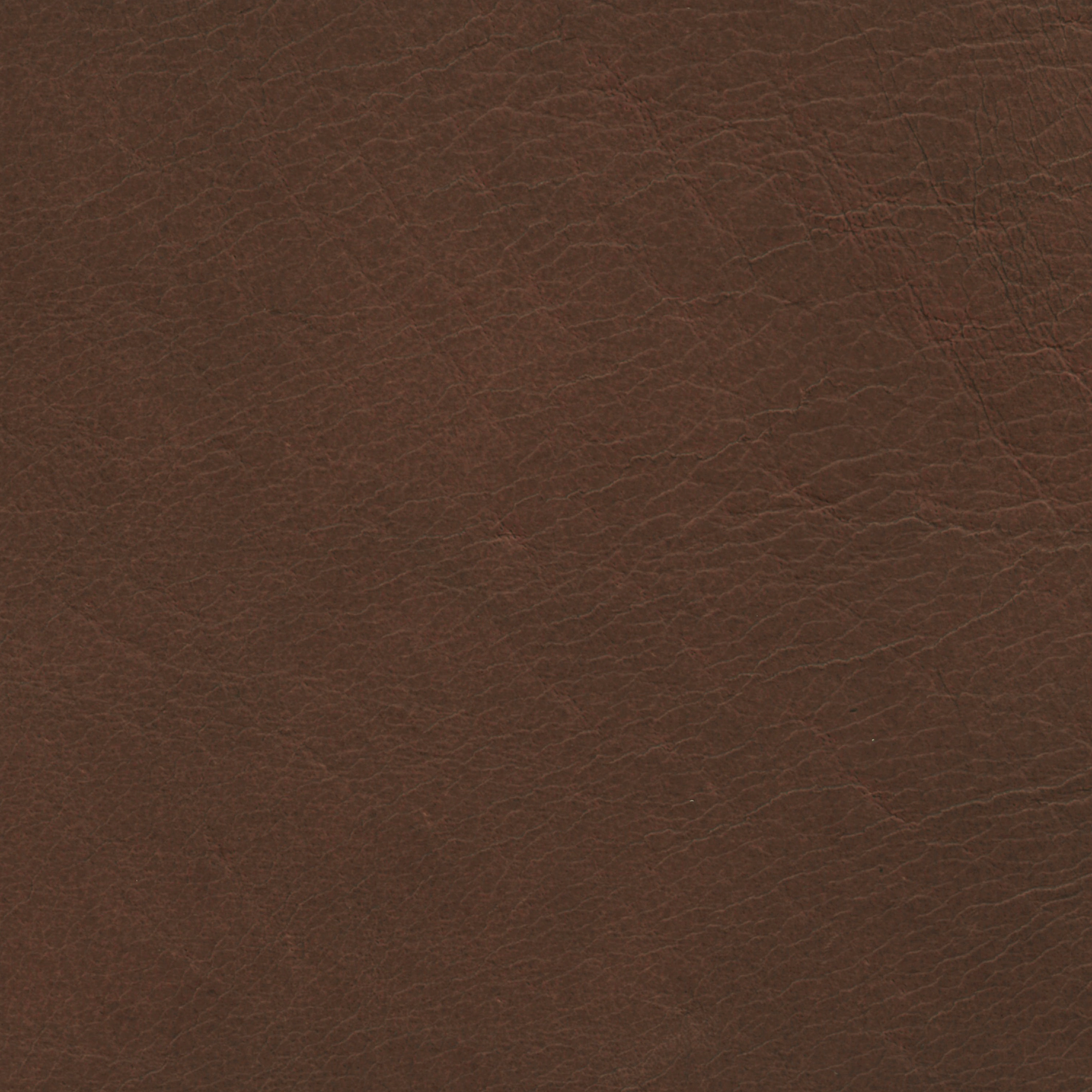  Savanne | Büffelleder tan dark