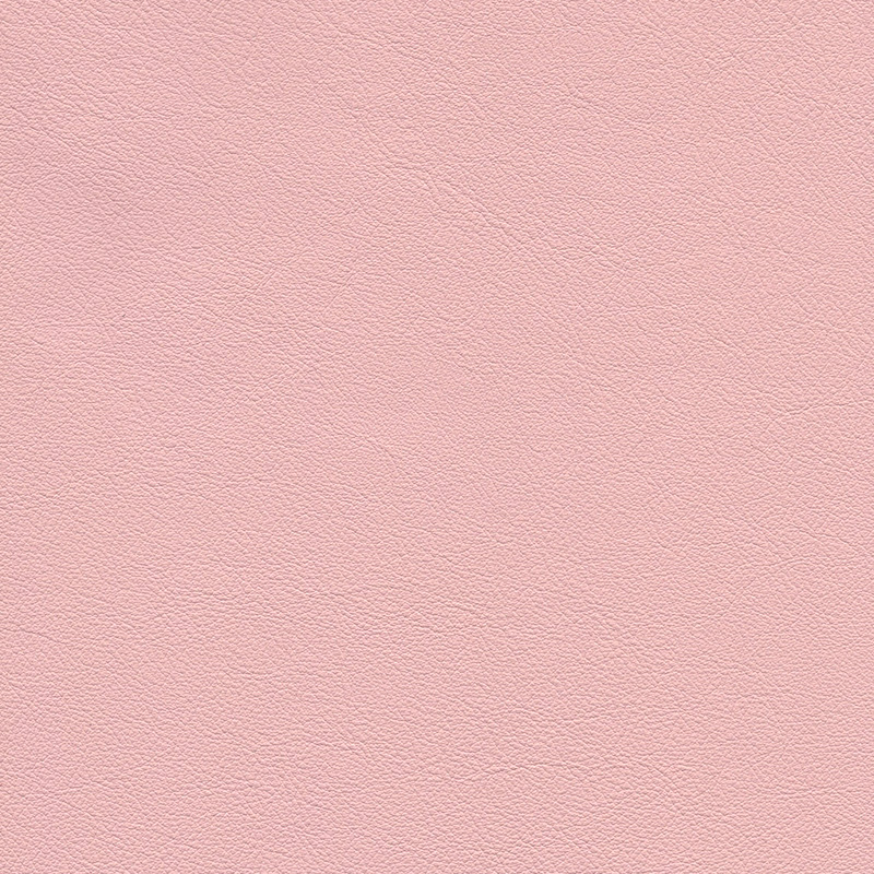  Colorado | Rindleder pink rose