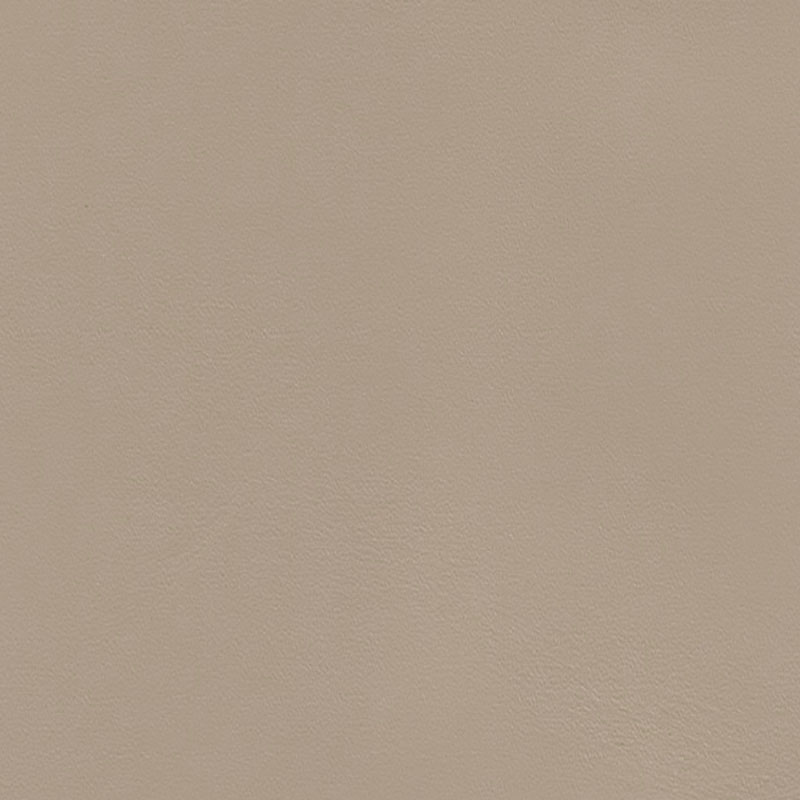  Original Mercedes Benz Nappaleder | Autoleder champignon