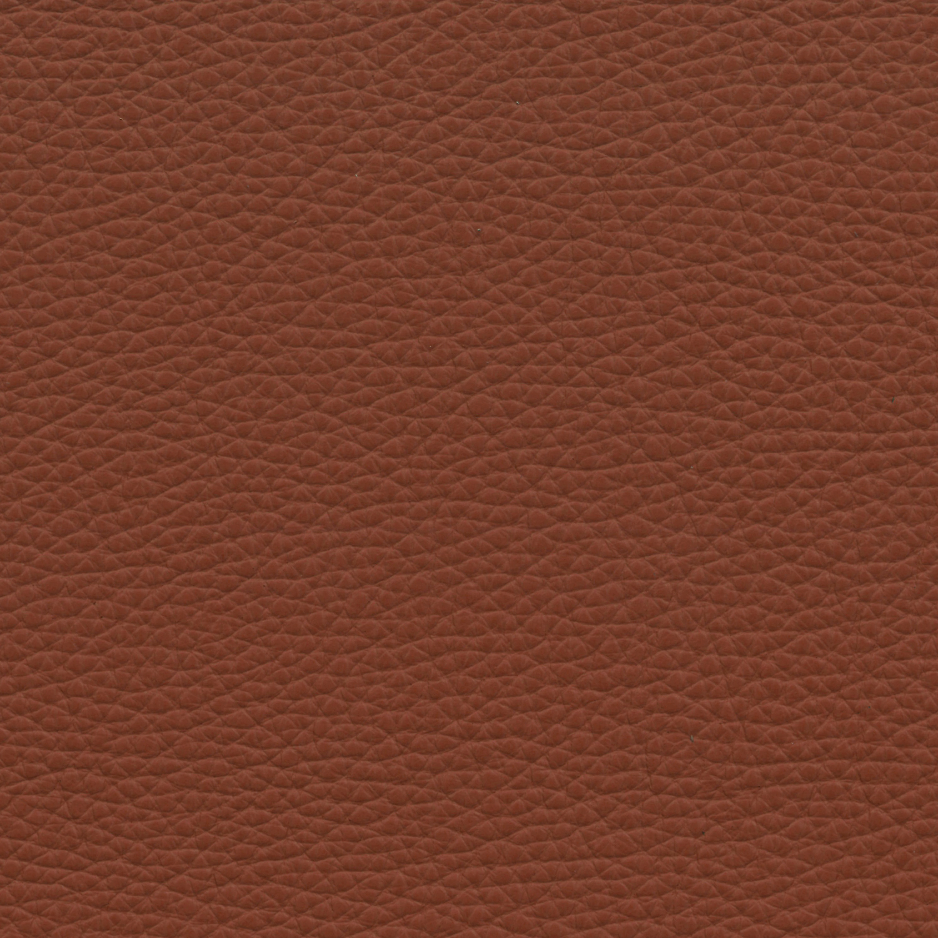  Paris | Rindleder cognac