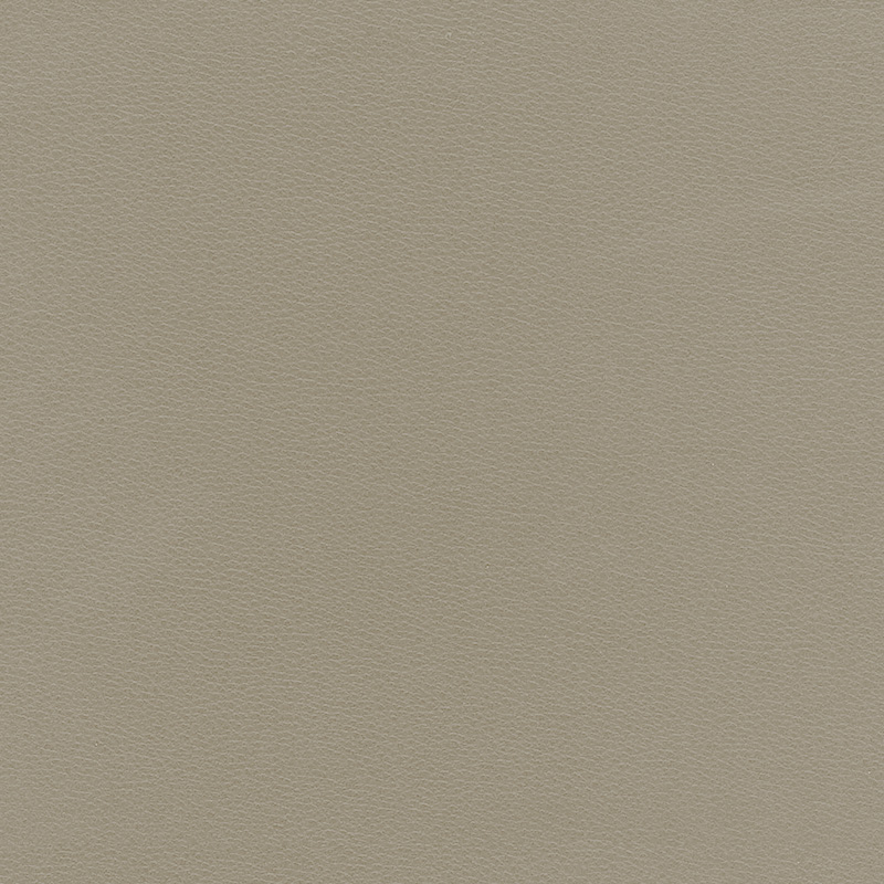  Caribic | Kunstleder beige gray