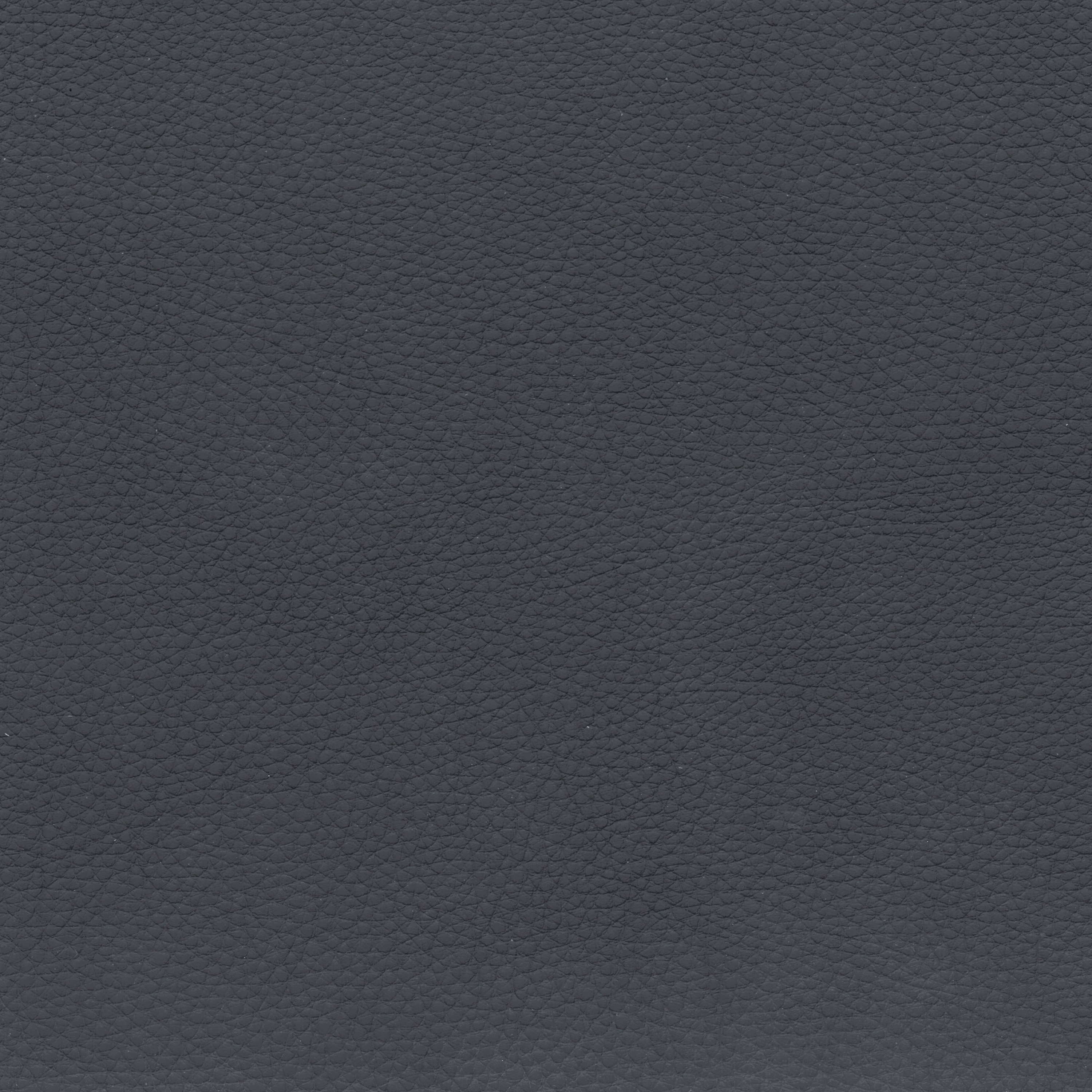 BMW Leder | Montana marineblau BMW Leder | Montana marineblau