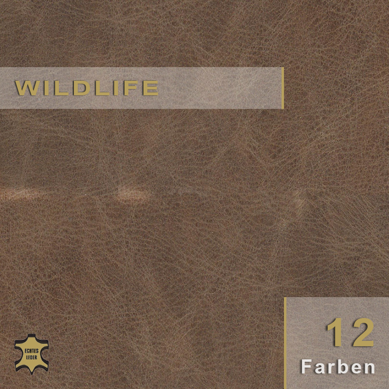 Wildlife | Rindleder Wildlife | Rindleder