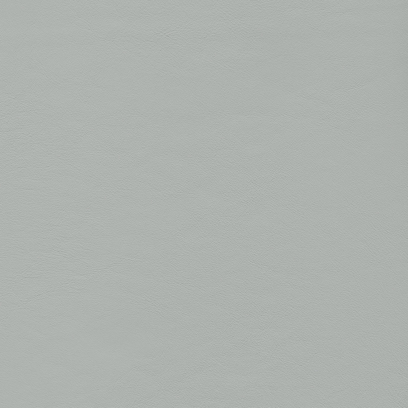  Original Audi Valcona | Autoleder silber