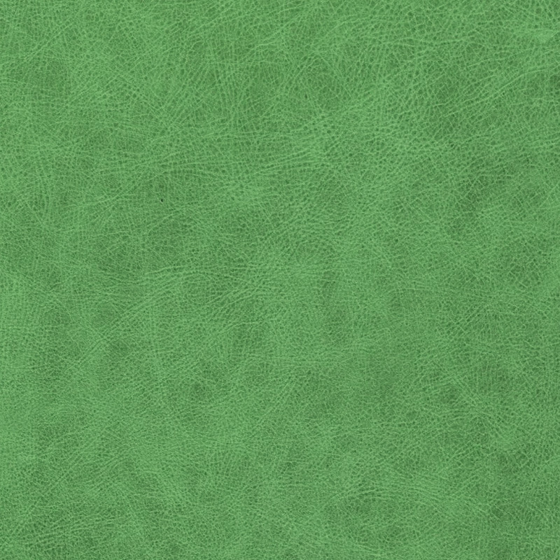  Wildlife | Rindleder signal green