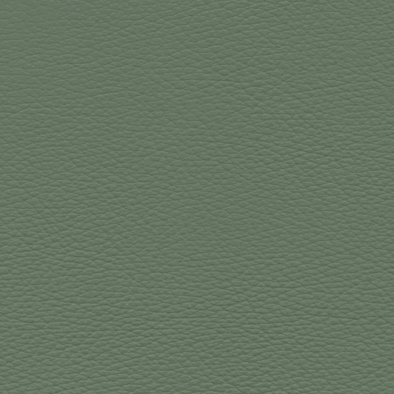  Softy | Polsterkunstleder schilfgrün