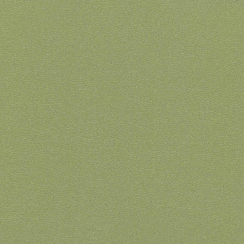  Caribic | Kunstleder moss green