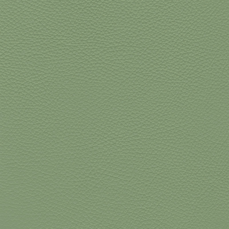  Frisco | Echtes Rindsleder green light