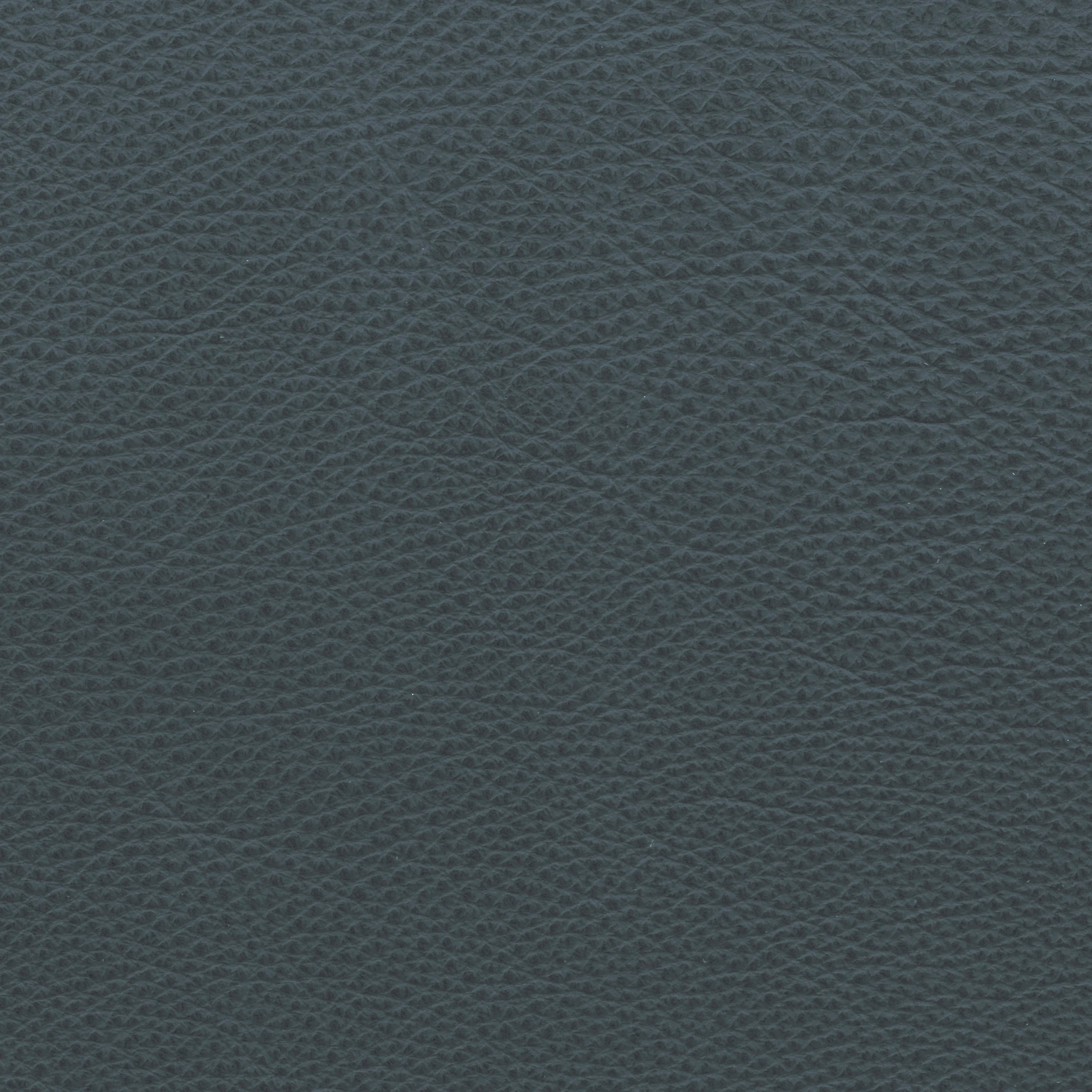  Paris | Rindleder moonlightblue