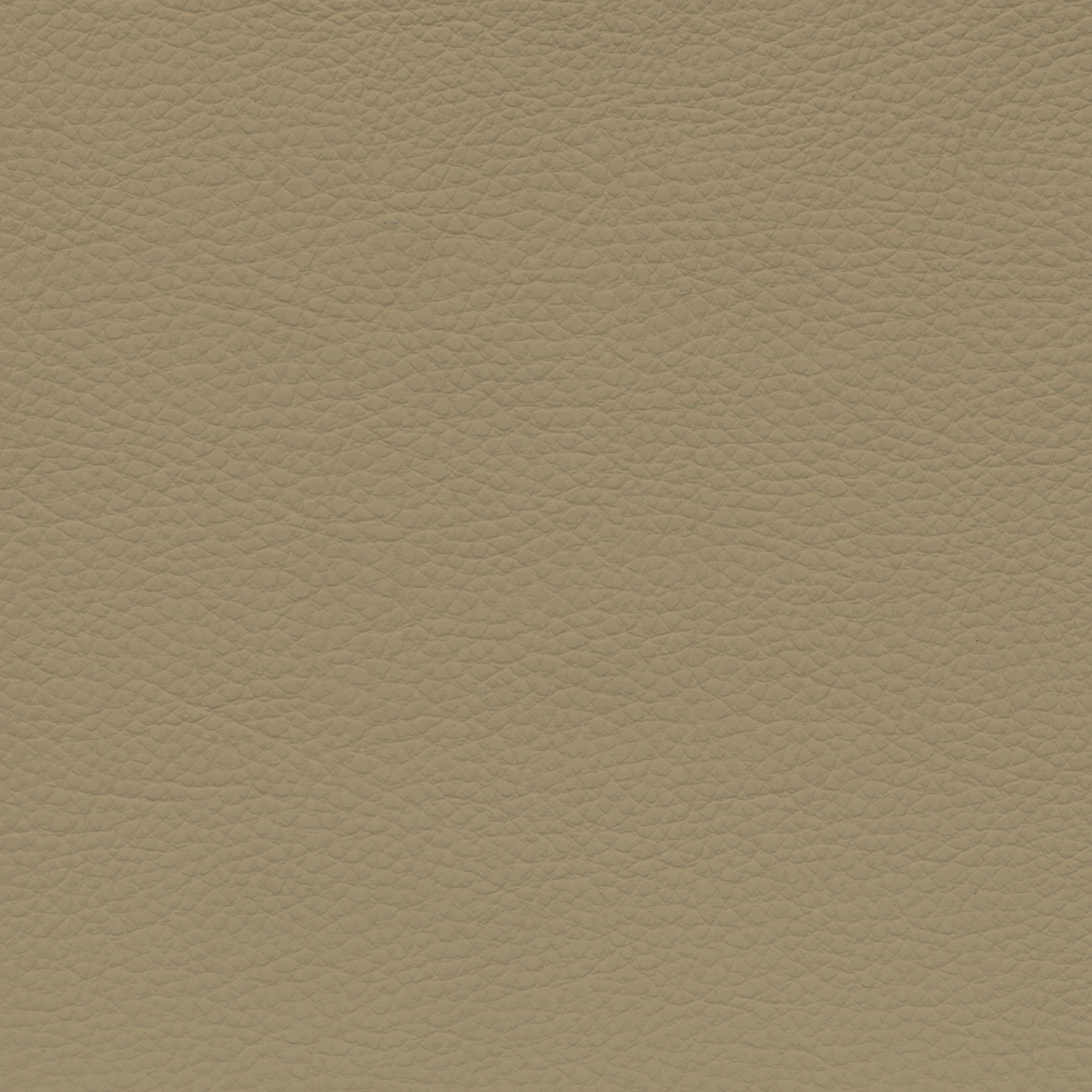  BMW Leder | Dakota savannabeige V2