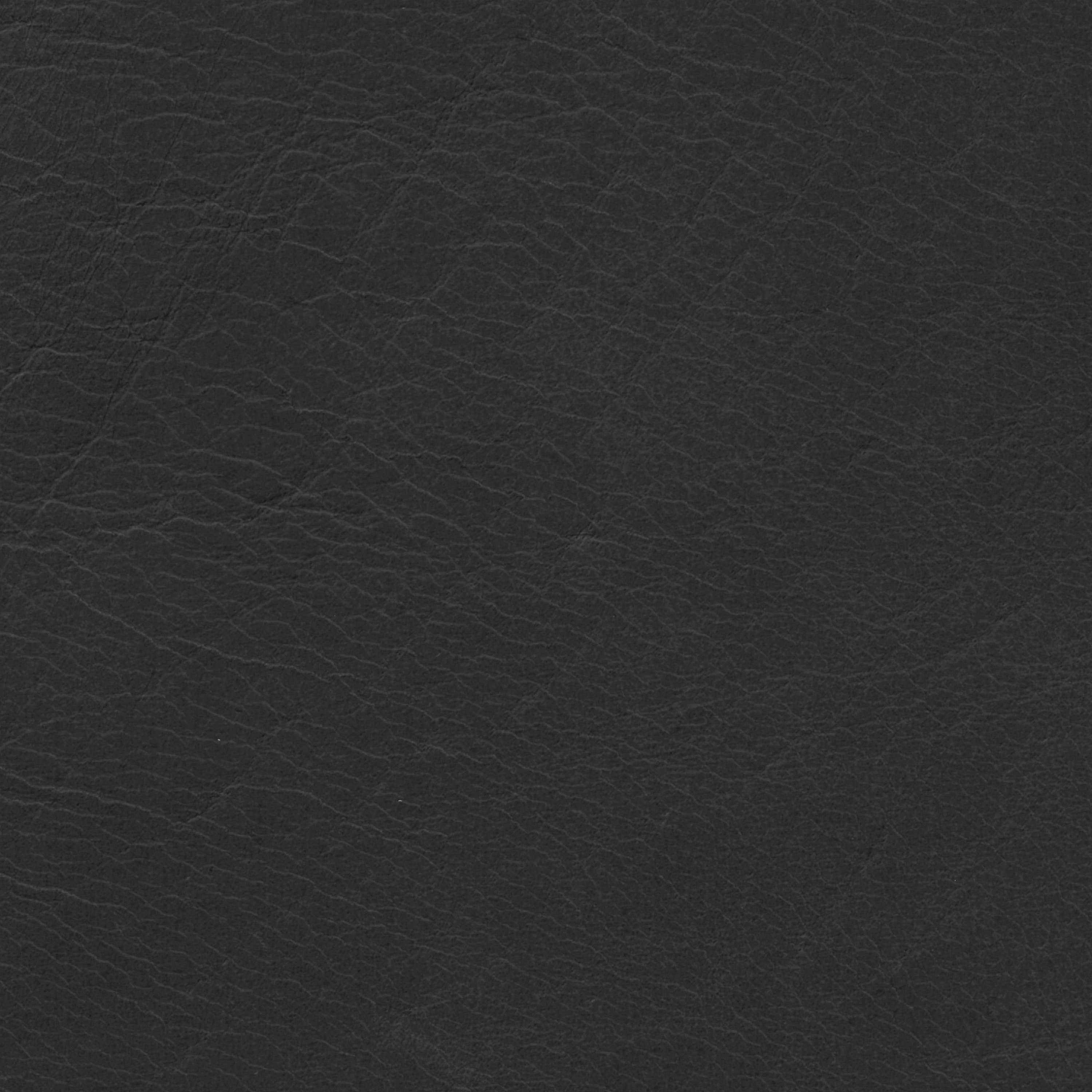  Savanne | Büffelleder black