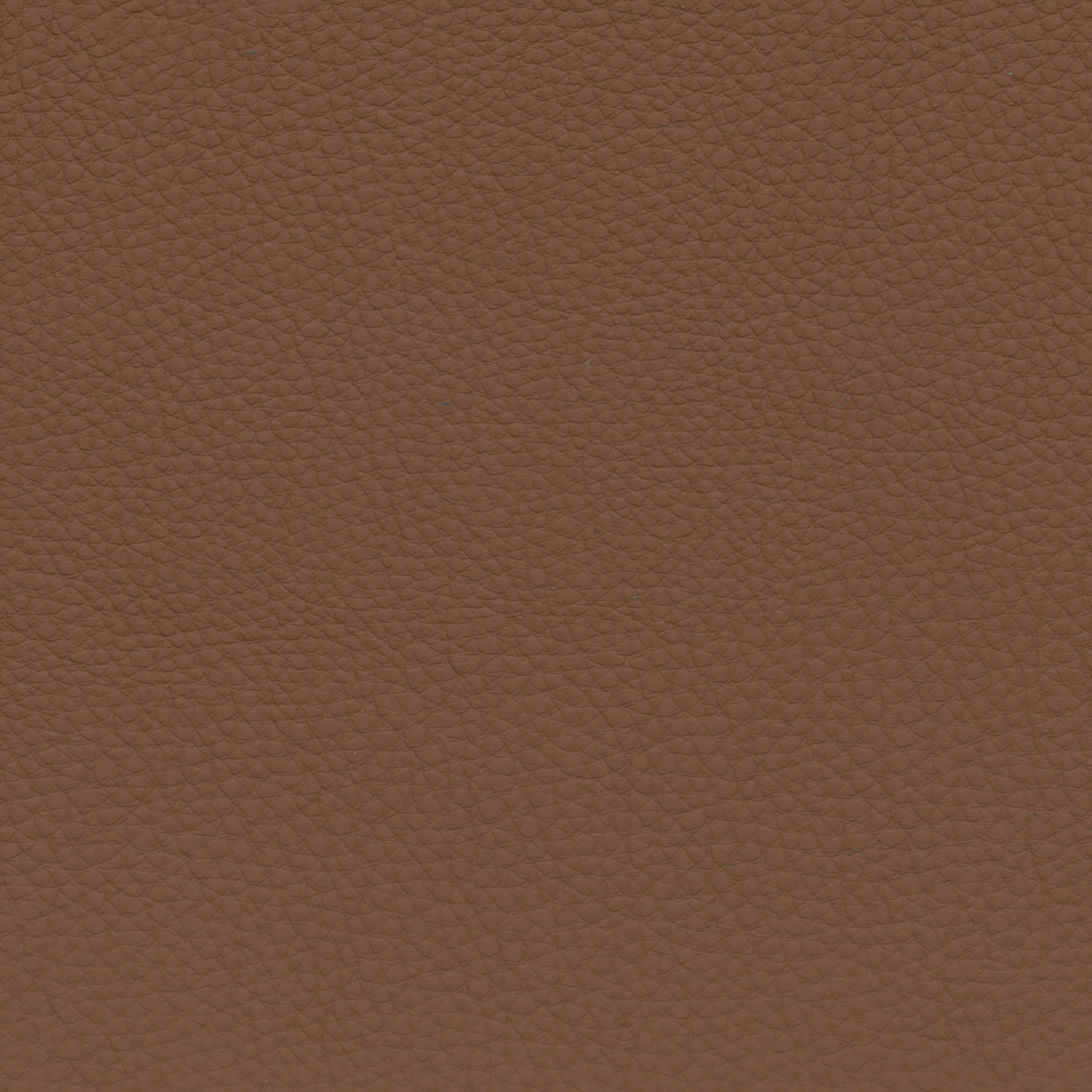  BMW Leder | Dakota sattelbraun