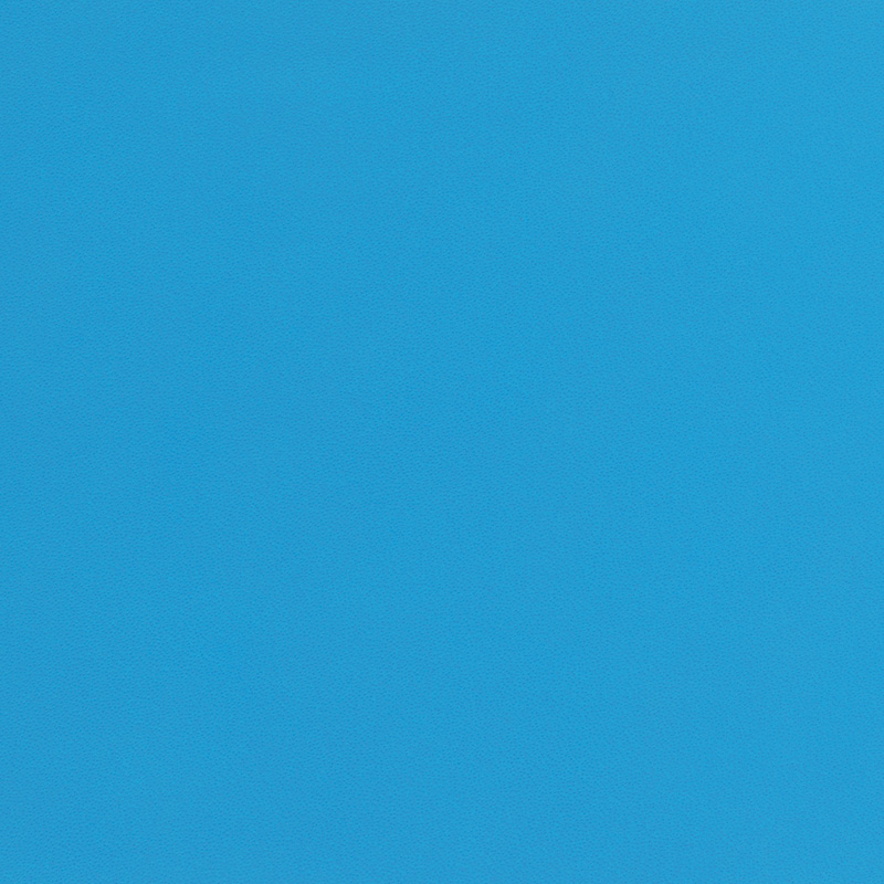  Porsche Nappa | Autoleder rivierablau