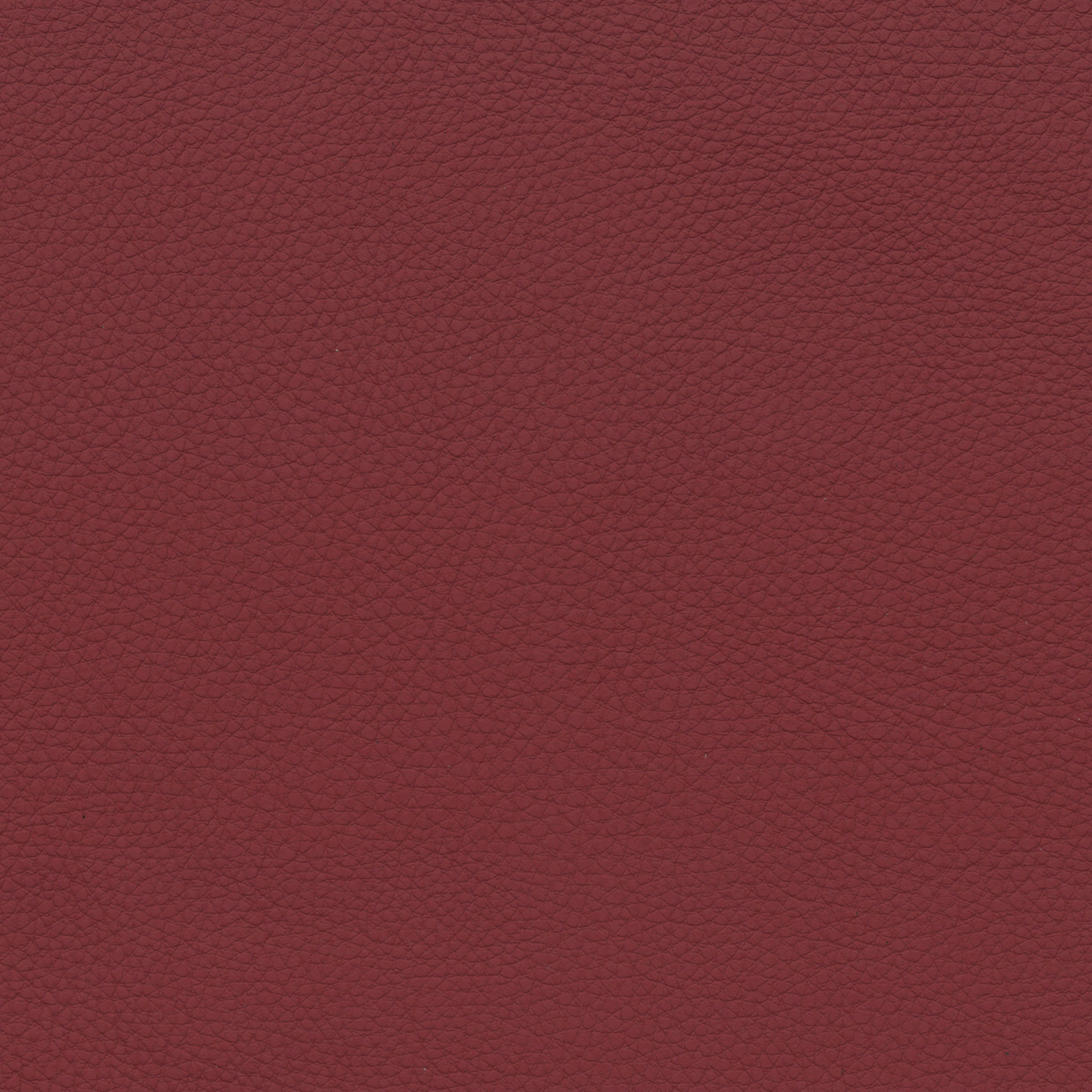  BMW Leder | Montana klassischrot