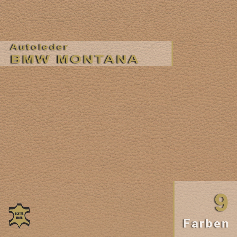 BMW Leder | Montana BMW Leder | Montana