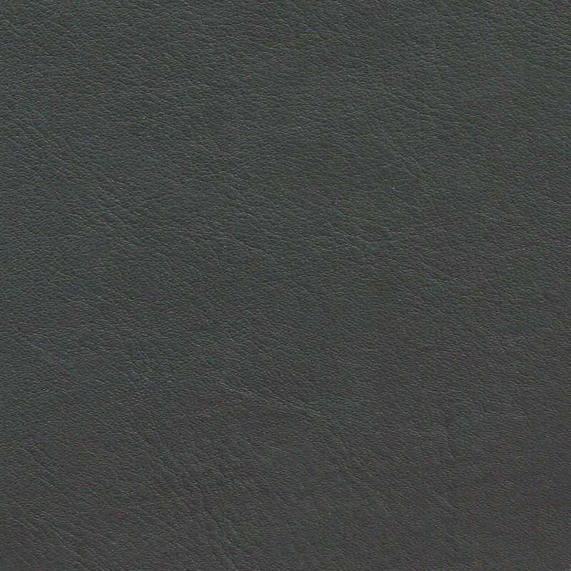  VEGGI | Bioleder seegrün