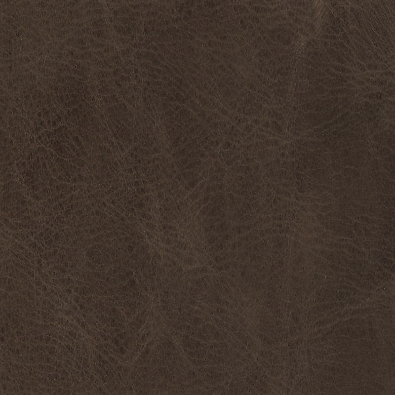  Wildlife | Rindleder brown