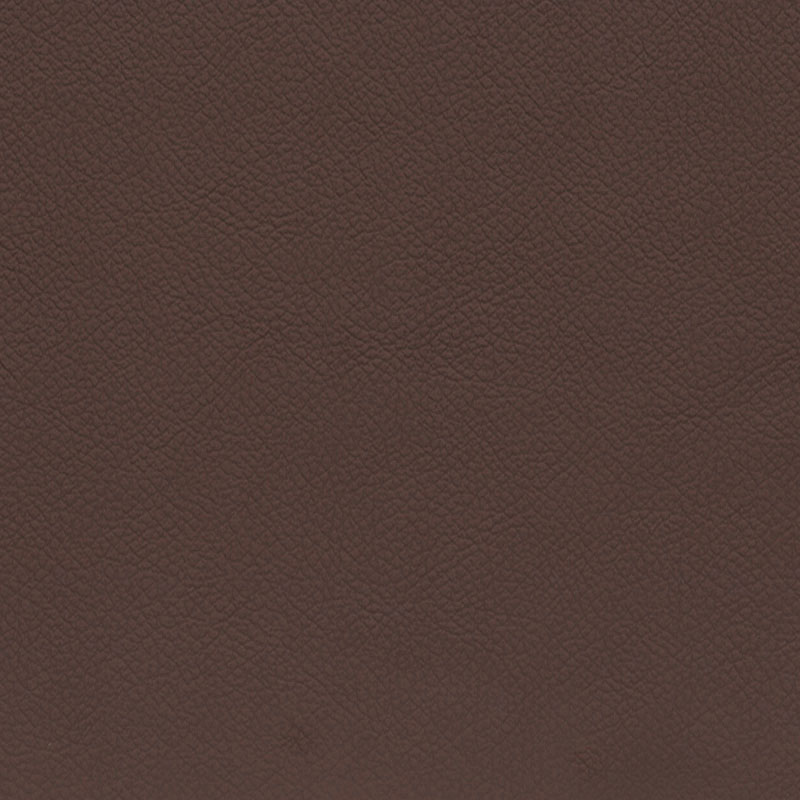  BMW Leder | Dakota terra