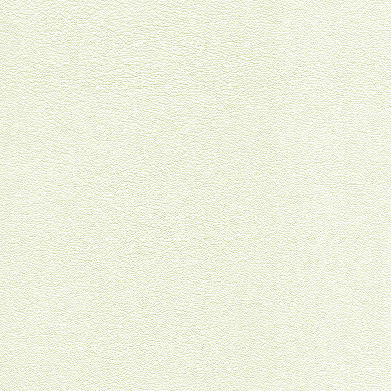  Colorado | Rindleder white