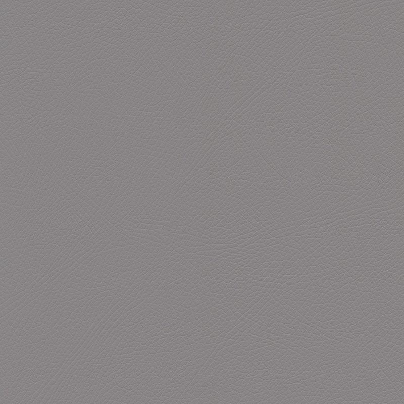 Skai® Toledo EN | bielastisch platinum Skai® Toledo EN | bielastisch platinum