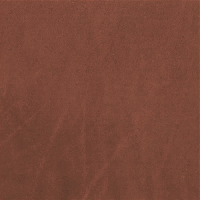  Verginia | Pullup copper brown