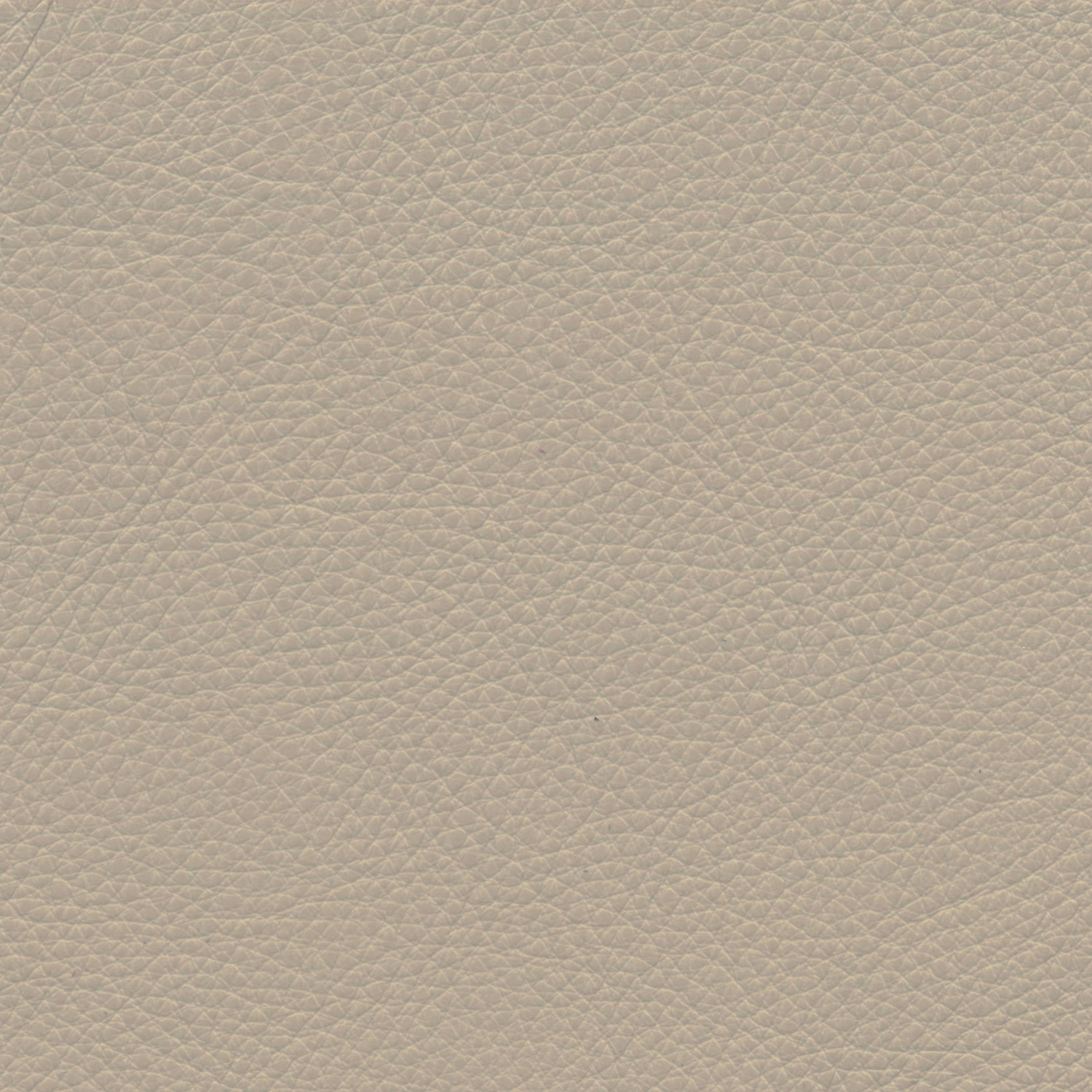  Paris | Rindleder davegrey