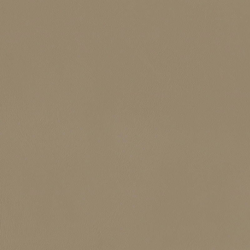  Nappa | Autoleder camel