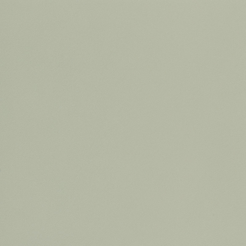  Silky Elegance | Nappaleder beige