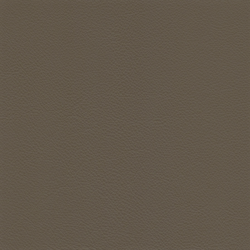  Continental | Rindleder palebraun