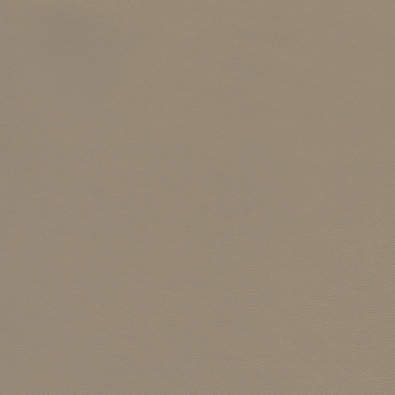  Original Audi Valcona | Autoleder kardamonbeige