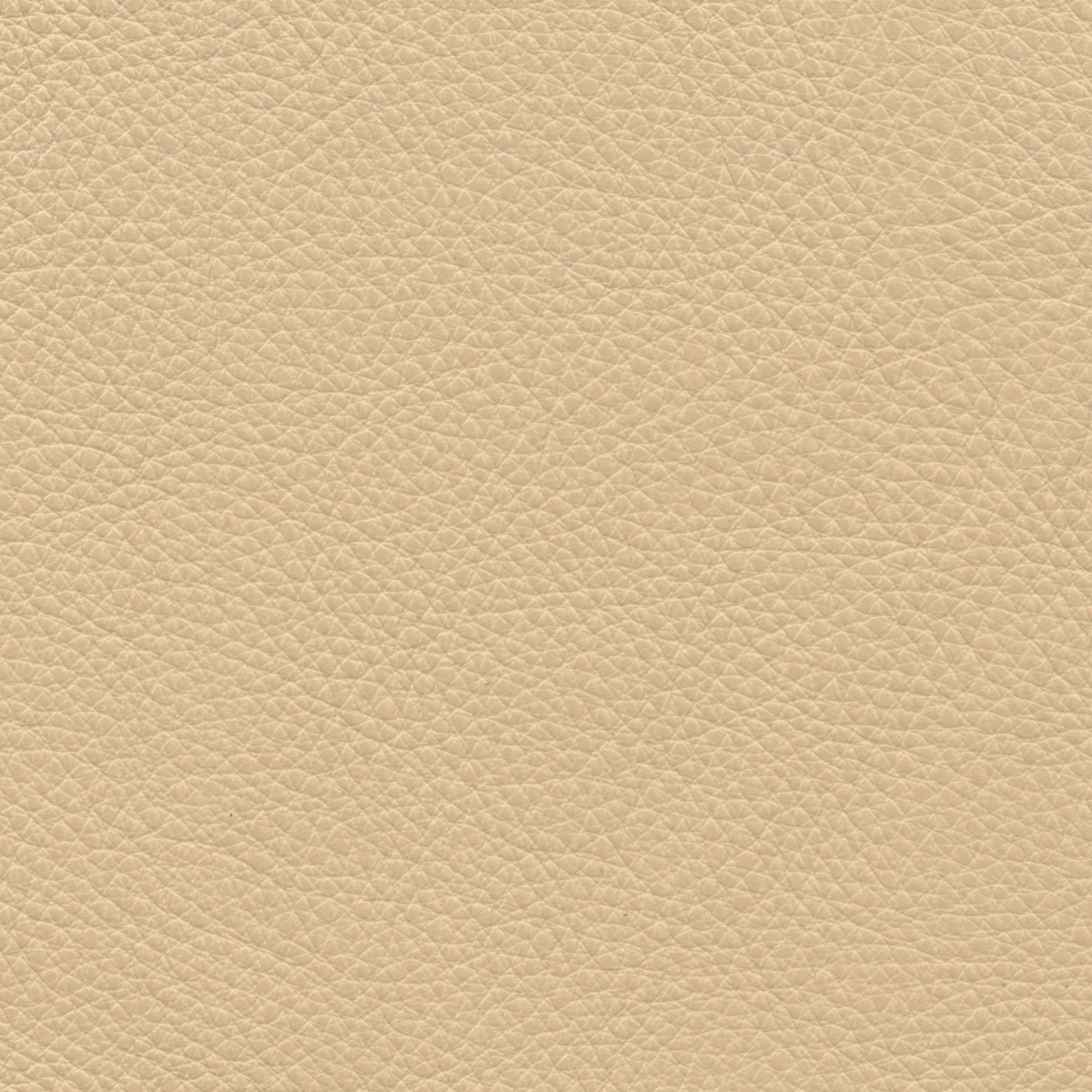  Paris | Rindleder beigebraun