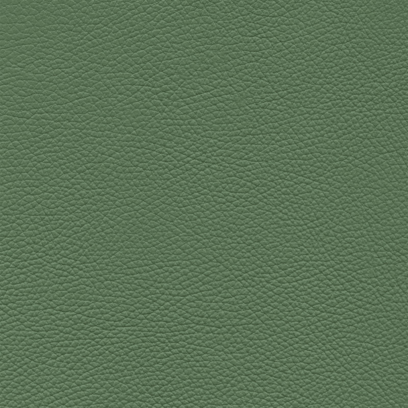  Frisco | Echtes Rindsleder green amber 2