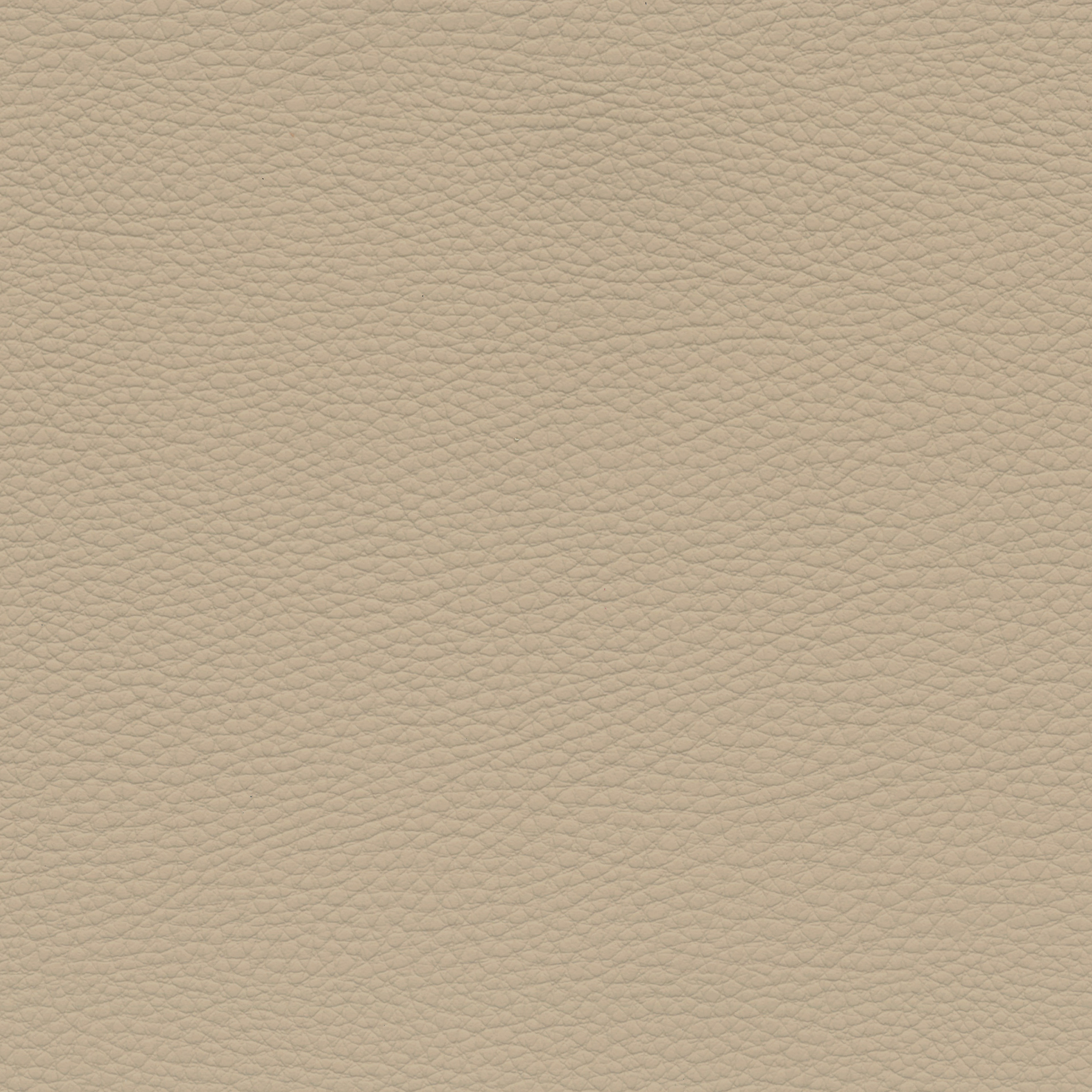  BMW Leder | Dakota canberrabeige